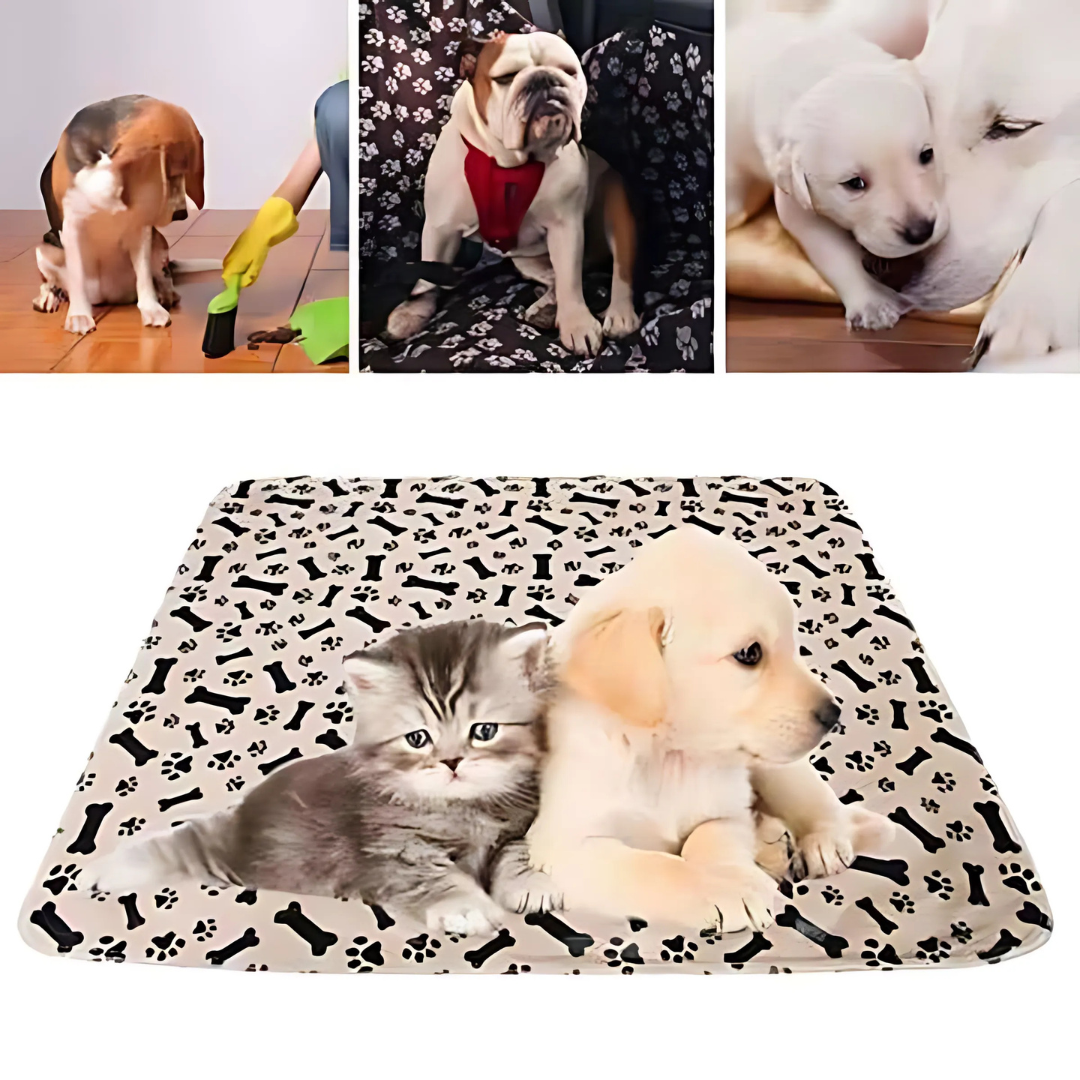 Hygiene Unterlage für Hunde – Wasserdichte Schondecke 70x80 cm – Waschbarer Möbelschoner, Rutschfest und Atmungsaktiv